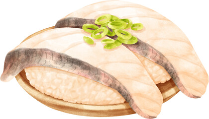 Watercolor White Fish Sushi