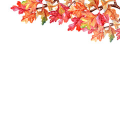 hand-drawn aquarelle border of bright autumn maple and oak leaves