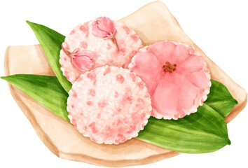 Watercolor Cute Sushi Balls