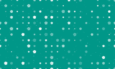 Seamless background pattern of evenly spaced white geraniums of different sizes and opacity. Vector illustration on teal background with stars