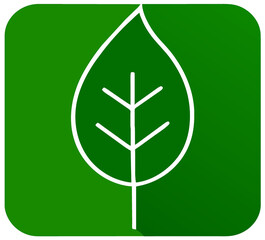 leaf icon