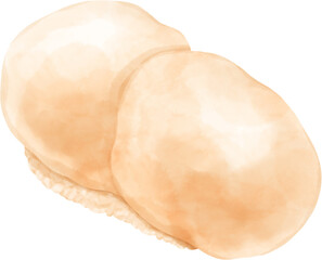 Watercolor hotate sushi