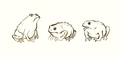 Pencil drawing. 2 Egyptian plague. Invasion of toads