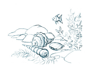 Pencil drawing. Bottom of the sea