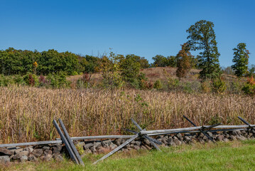 Fototapeta na wymiar Upland Meadow on a Beautiful Autumn Afternoon, Adams County, Pennsylvania USA