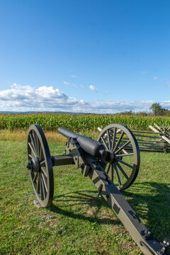 cannon in the field