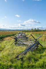 fence in the field