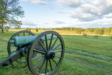 Cannon on the Field