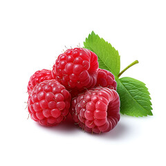 Raspberry fruit isolated photo on white background