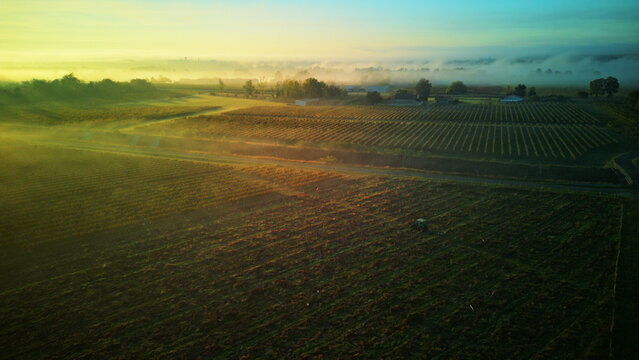 magnifique vue aérienne sur des vignobles bordelais recouverts de brouillard au levé du soleil