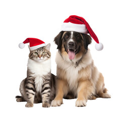 happy dog and cat isolated on transparent background wearing a christmas hat	