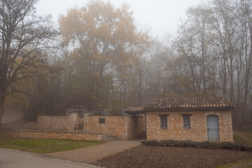  Autumn Foggy Ingolstadt, Park_ Beautiful Trees