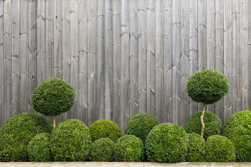 Wooden fence panel with shrub background