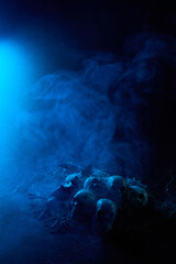 Halloween human skulls in abstract smoke on black background.