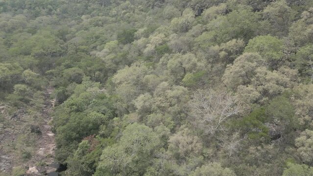 Drone footage of the scenic waterfall Chorro San Luis embedded in a thick, tropical forest near Robor&eacute; in the lowlands of Bolivia - Traveling and exploring South America - raw version