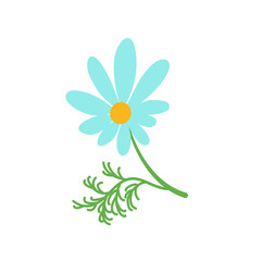 Drawing of Daisy's flower. Vector hand-drawn floral object. A set of chamomile. A wild botanical garden is blooming. Great for tea packaging, labels, badge, greeting cards, décor