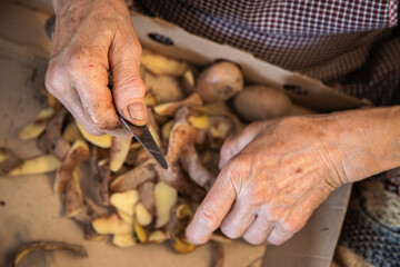 Elderly woman's hands doing domestic work of peeling potatoes. Aged hands with joint problems,...