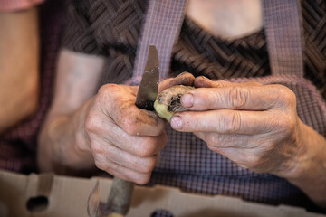 Elderly woman's hands doing domestic work of peeling potatoes. Aged hands with joint problems,...