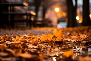 Naklejka na ściany i meble urban autumn landscape, yellow leaves on wet asphalt