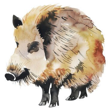 Namalowany dzik ilustracja