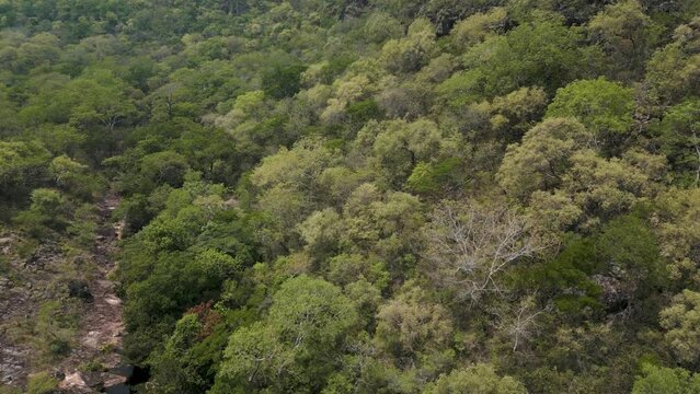 Drone footage of the scenic waterfall Chorro San Luis embedded in a thick, tropical forest near Robor&eacute; in the lowlands of Bolivia - Traveling and exploring South America - natural look