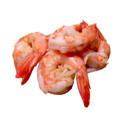 shrimps on white background