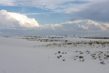 Naklejka premium The Beautiful White Sands National Monument and Park in White Sands, New Mexico, near Alamogordo and Las Cruces, surrounded by threatening clouds in the late afternoon