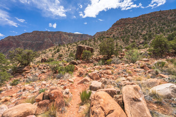 Fototapeta na wymiar hiking the tanner trail in grand canyon national park, arizona, usa
