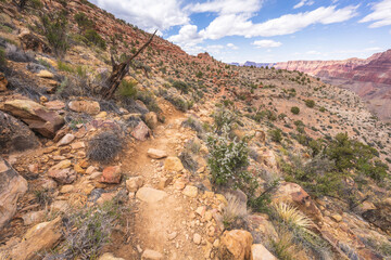 hiking the tanner trail in grand canyon national park, arizona, usa