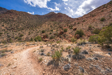 hiking the tanner trail in grand canyon national park, arizona, usa