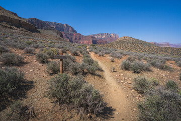 hiking the tonto trail in the grand canyon national park, arizona, usa