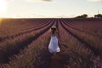Lavendel Fields in Summer in France