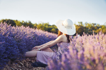 Lavendel Fields in Summer in France