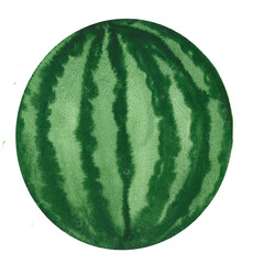 watermelon drawn in watercolor, picture for farm store and market, vegetarian products