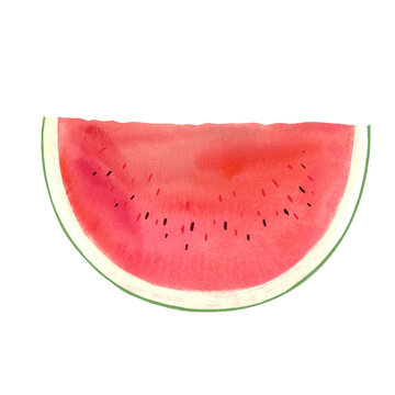 watermelon drawn in watercolor, picture for farm store and market, vegetarian products