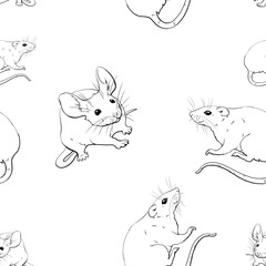 Mice, rats, rodents. Seamless pattern with graphic monochrome illustration. For printing wallpaper, fabric, packaging paper for pet stores, pet products and other products. Domestic and wild rodents