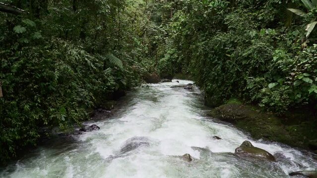 cloud forest of Mindo in Ecuador.