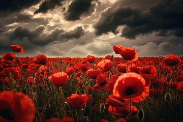 Gordijnen Banner with red poppy flower field, symbol for remembrance, memorial, anzac day © netrun78