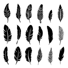 set of feathers 