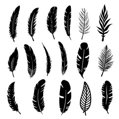 set of feathers 