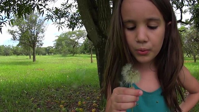 menina assopando flor dente-de-le&atilde;o