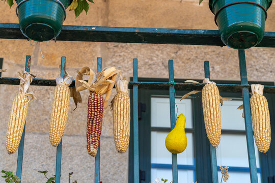 Colorful balcony in the beautiful fishing village of Combarro, in Pontevedra, Galicia