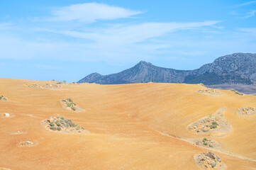 Panoramic view of farm lands, Ronda, Spain