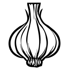 Garlic Bulb Illustration