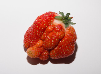 Giant ugly strawberries on a white background. Dessert is a mutant.