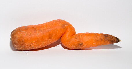 Crooked carrot is a mutant. Vegetable on a white background.