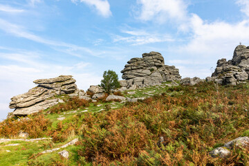 Fototapeta na wymiar Hound Tor Dartmoor National Park England