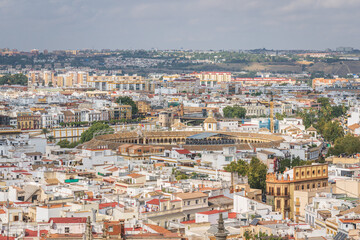 Fototapeta na wymiar Seville city skyline and the plaza de toros de la Real Maestranza de Caballeria de Sevilla