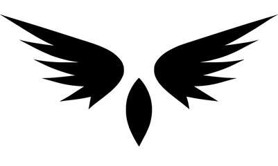 Obraz premium Wings Vector