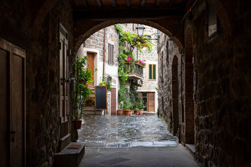 Fototapeta na wymiar a narrow street with typical architecture in Radicofani, province of Siena, Tuscany, Italy
